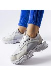 Pilkos Spalvos Sneakers Stiliaus Su srebrnym Akcentu Lodgeville