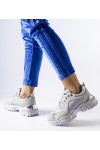 Pilkos Spalvos Sneakers Stiliaus Su srebrnym Akcentu Lodgeville